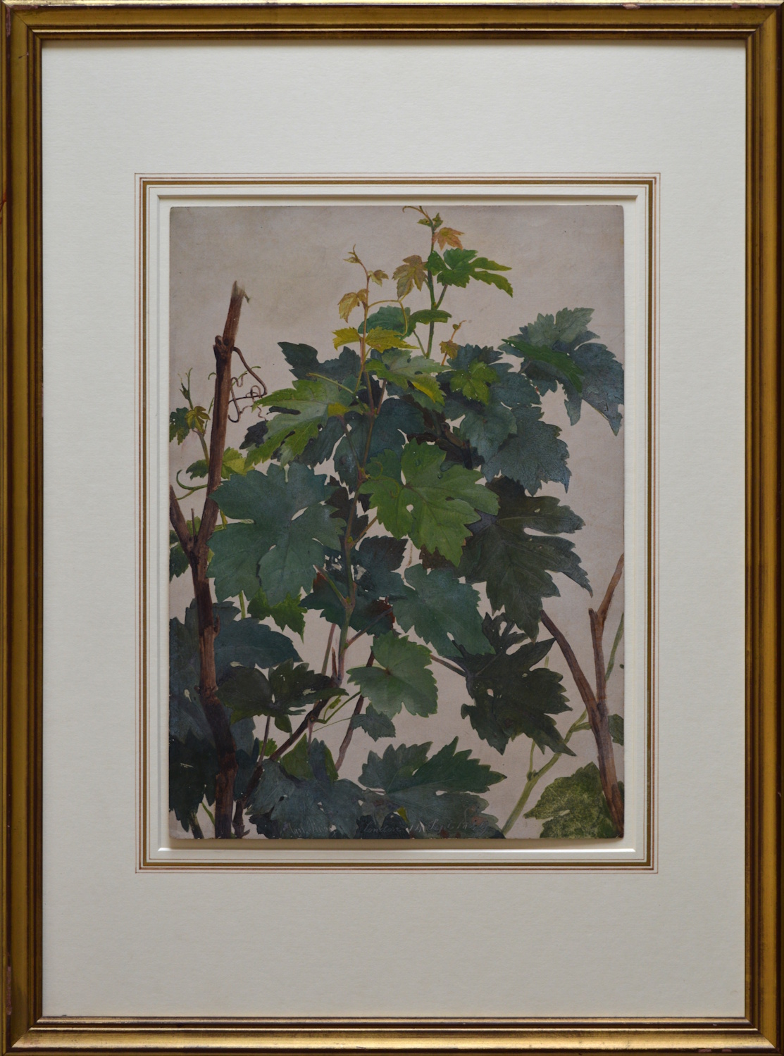 Carl Haag – Vine Leaves